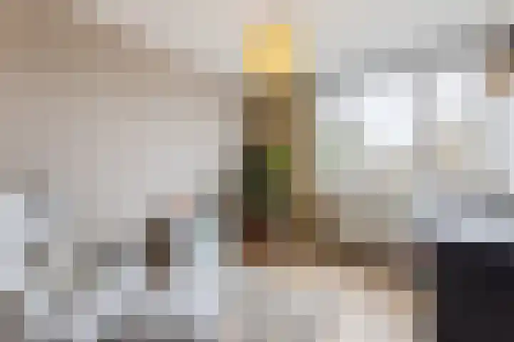 Het Zwanevlot 120 Zutphen thumbnail 24