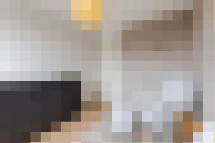 Het Zwanevlot 120 Zutphen thumbnail 25