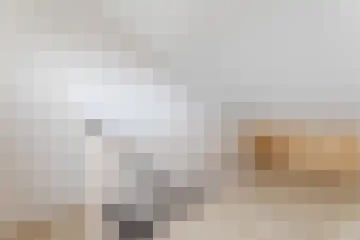 Het Zwanevlot 120 Zutphen thumbnail 30