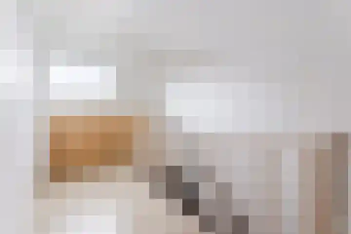 Het Zwanevlot 120 Zutphen thumbnail 31