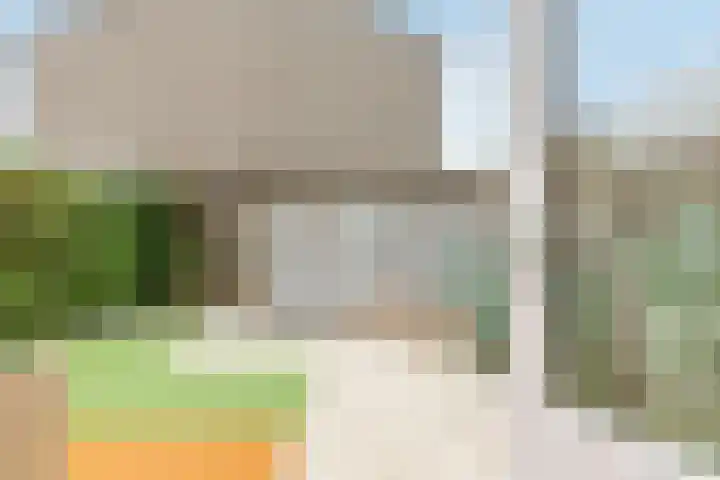 Het Zwanevlot 120 Zutphen thumbnail 34