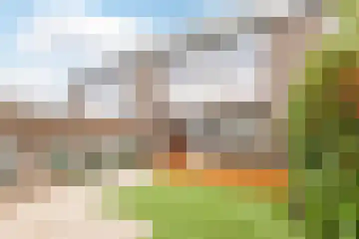 Het Zwanevlot 120 Zutphen thumbnail 35