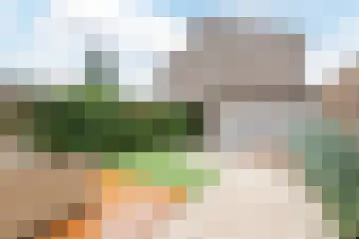 Het Zwanevlot 120 Zutphen thumbnail 38