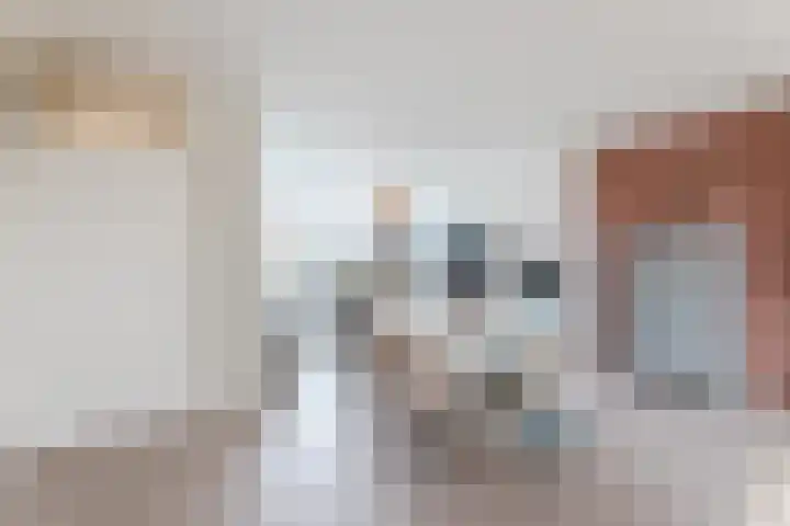 Het Zwanevlot 120 Zutphen thumbnail 4