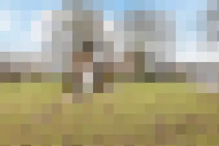 Het Zwanevlot 120 Zutphen thumbnail 40
