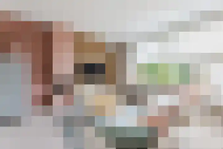 Het Zwanevlot 120 Zutphen thumbnail 8