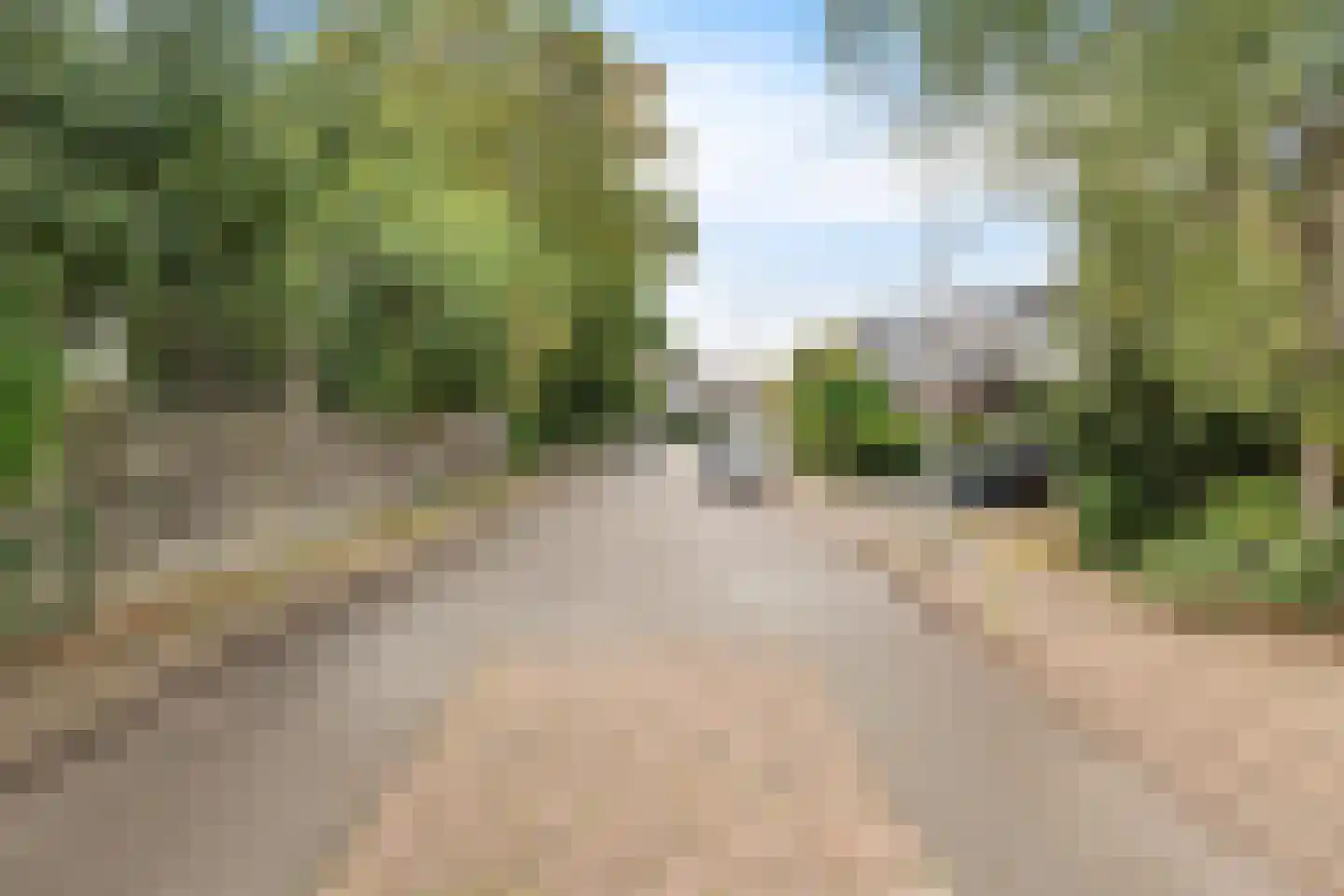 Het Zwanevlot 137 Zutphen thumbnail 20