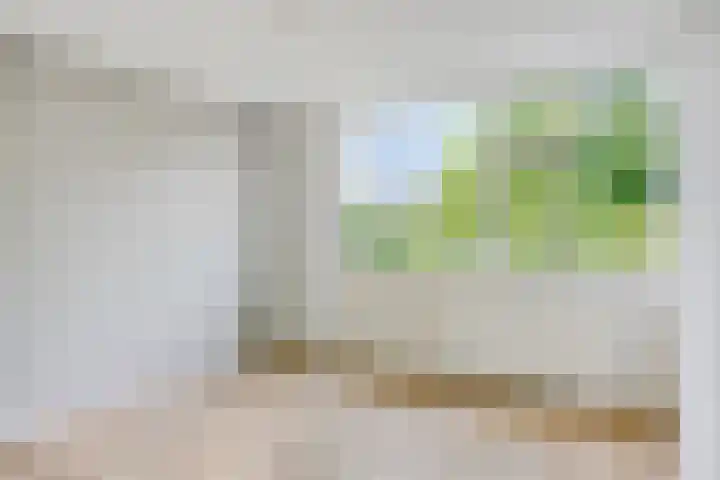 Het Zwanevlot 155 Zutphen thumbnail 13