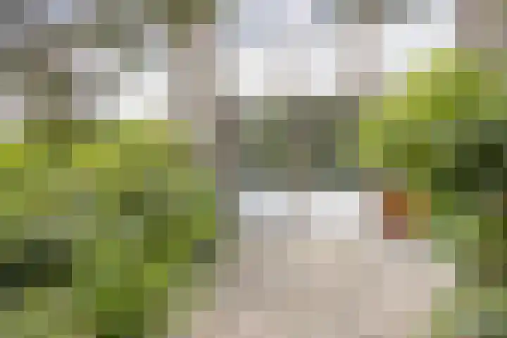 Het Zwanevlot 155 Zutphen thumbnail 23