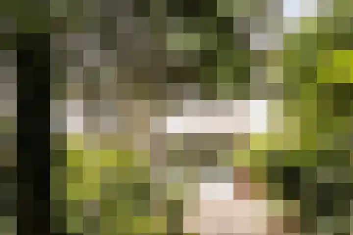 Het Zwanevlot 155 Zutphen thumbnail 24