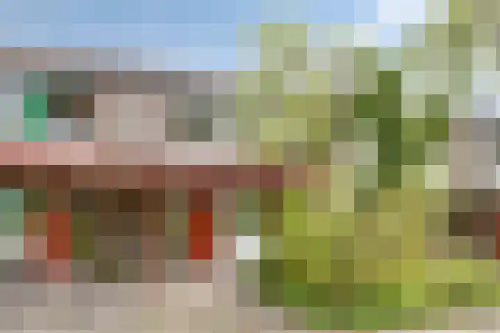 Het Zwanevlot 155 Zutphen thumbnail 28