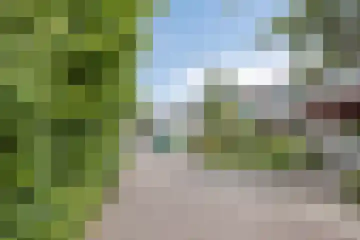 Het Zwanevlot 155 Zutphen thumbnail 30