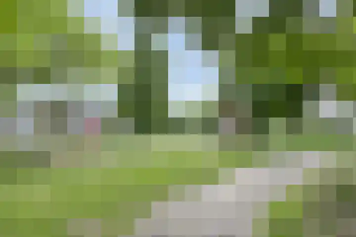 Het Zwanevlot 155 Zutphen thumbnail 31