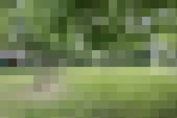 Het Zwanevlot 155 Zutphen thumbnail 32