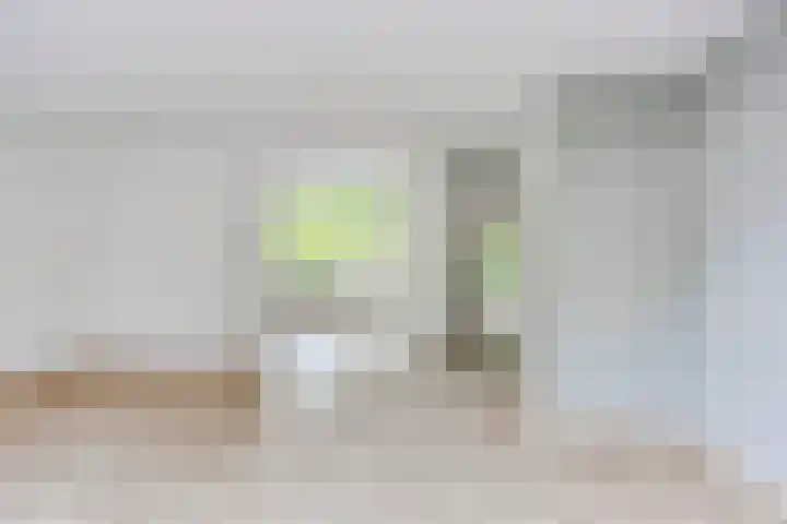 Het Zwanevlot 155 Zutphen thumbnail 5