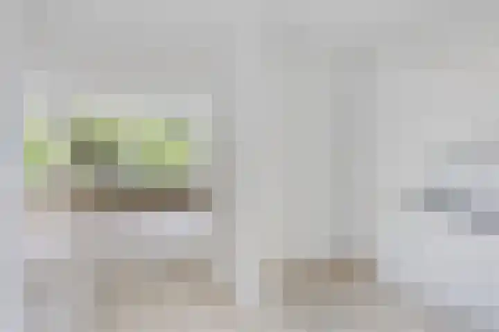 Het Zwanevlot 155 Zutphen thumbnail 6