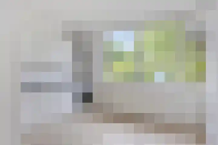 Het Zwanevlot 155 Zutphen thumbnail 7