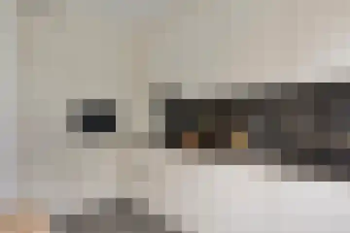 Het Zwanevlot 16 Zutphen thumbnail 11
