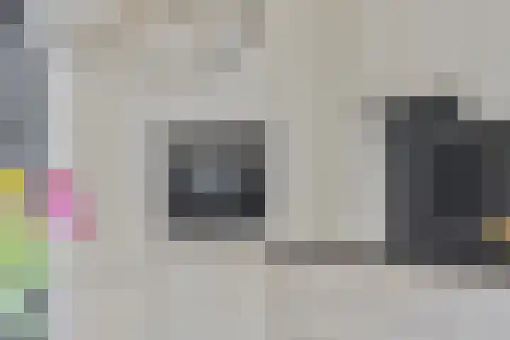 Het Zwanevlot 16 Zutphen thumbnail 12