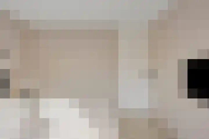Het Zwanevlot 16 Zutphen thumbnail 17