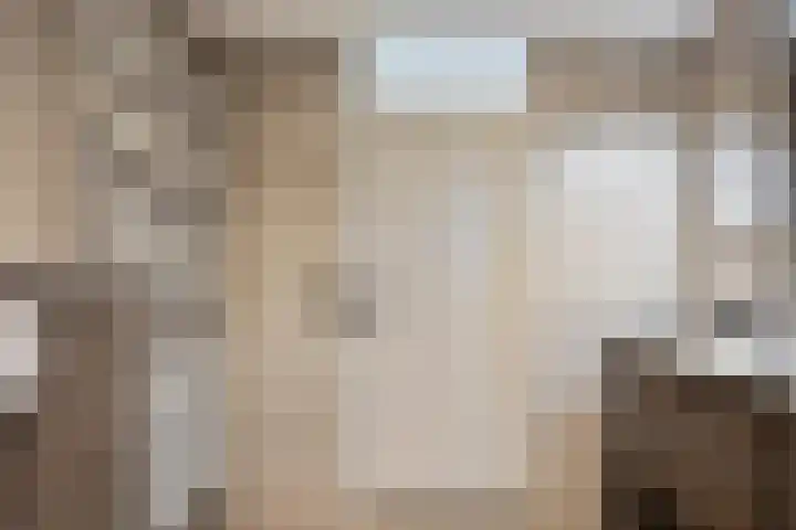 Het Zwanevlot 16 Zutphen thumbnail 19