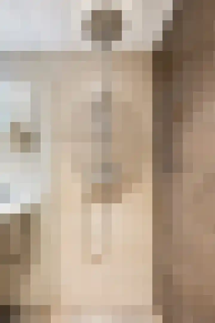 Het Zwanevlot 16 Zutphen thumbnail 20