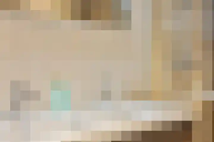 Het Zwanevlot 16 Zutphen thumbnail 21