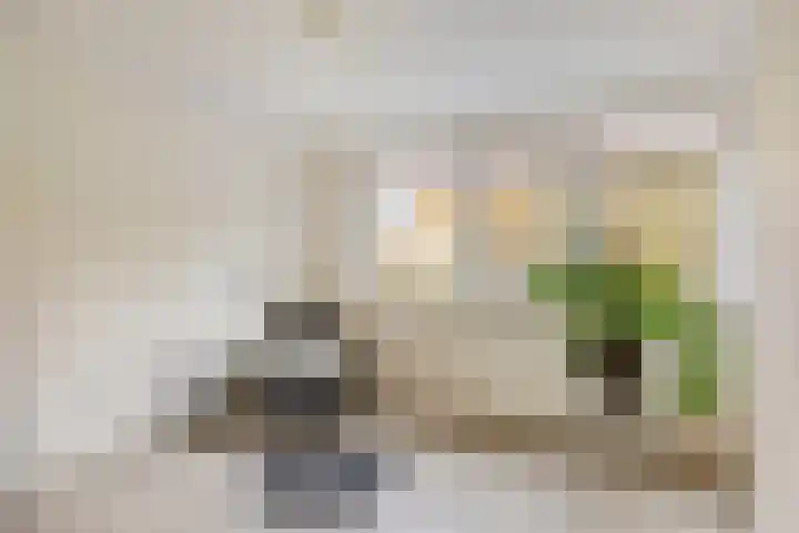 Het Zwanevlot 16 Zutphen thumbnail 22