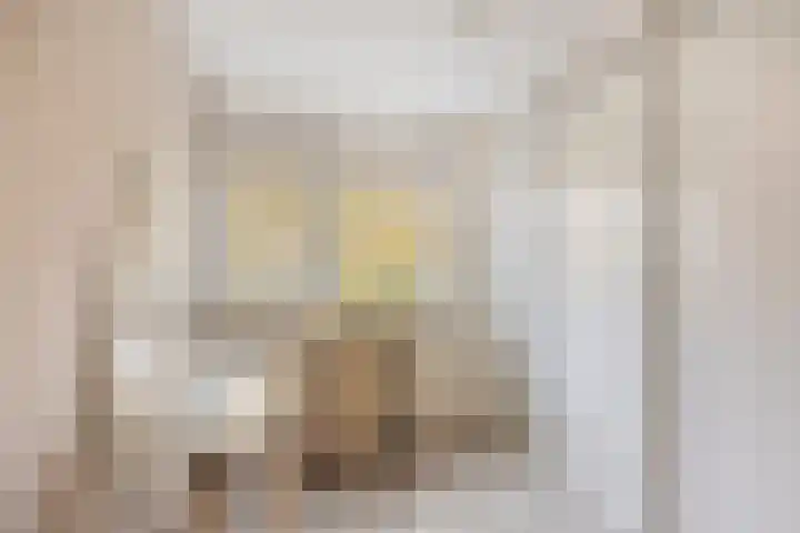 Het Zwanevlot 16 Zutphen thumbnail 26
