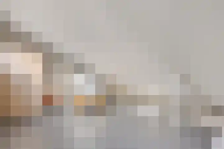 Het Zwanevlot 16 Zutphen thumbnail 28