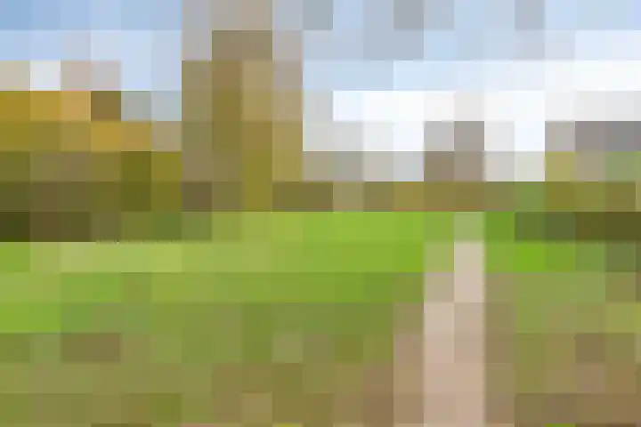 Het Zwanevlot 16 Zutphen thumbnail 35