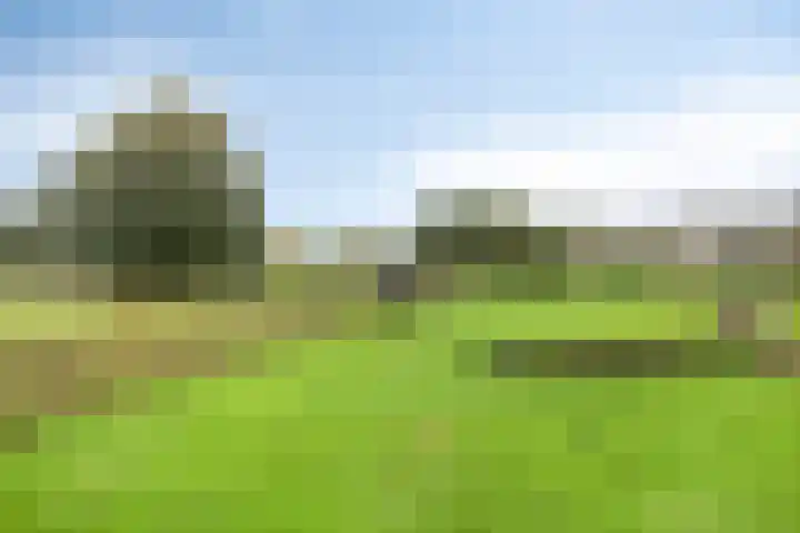 Het Zwanevlot 16 Zutphen thumbnail 37