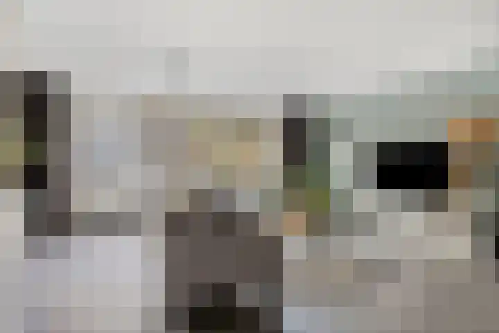 Het Zwanevlot 16 Zutphen thumbnail 4