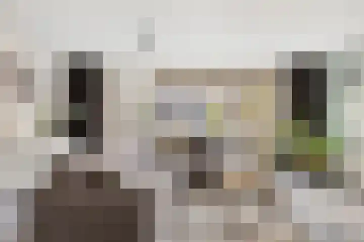 Het Zwanevlot 16 Zutphen thumbnail 5