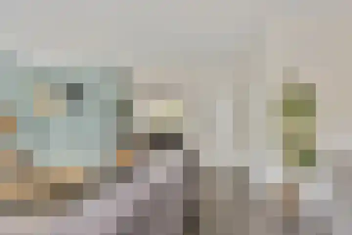 Het Zwanevlot 16 Zutphen thumbnail 6