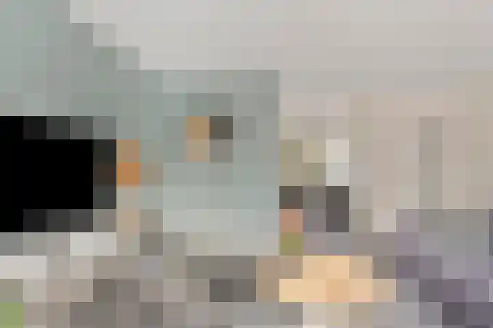 Het Zwanevlot 16 Zutphen thumbnail 7