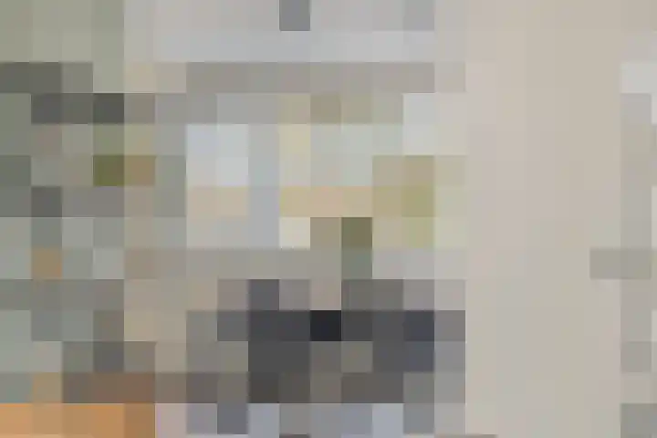 Het Zwanevlot 16 Zutphen thumbnail 8