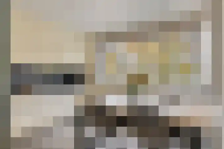 Het Zwanevlot 16 Zutphen thumbnail 9