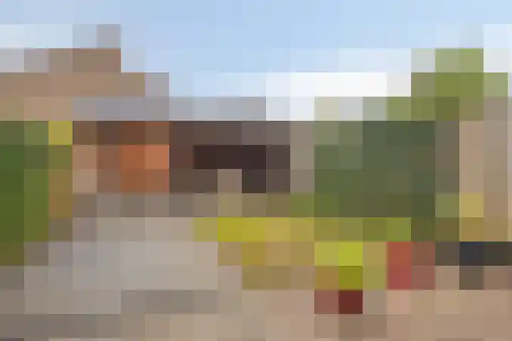 Het Zwanevlot 173 Zutphen thumbnail 32