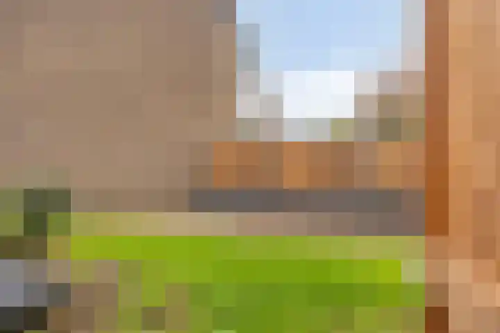 Het Zwanevlot 173 Zutphen thumbnail 35