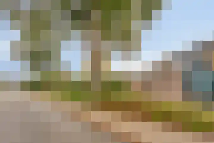 Het Zwanevlot 173 Zutphen thumbnail 37