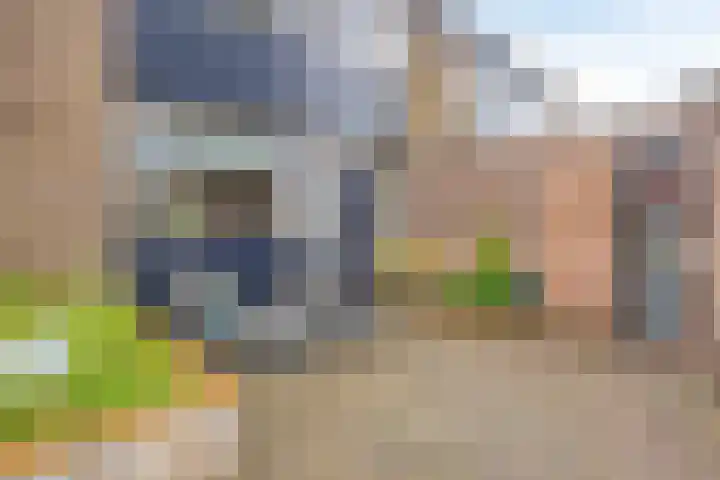 Het Zwanevlot 173 Zutphen thumbnail 39