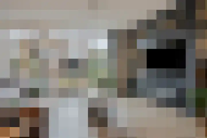 Het Zwanevlot 173 Zutphen thumbnail 4