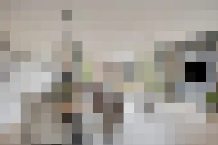 Het Zwanevlot 173 Zutphen thumbnail 6