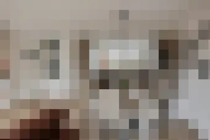 Het Zwanevlot 173 Zutphen thumbnail 7