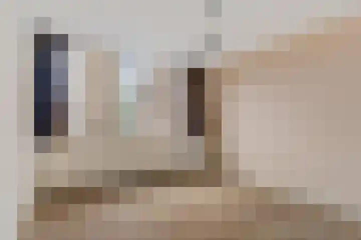 Het Zwanevlot 195 Zutphen thumbnail 10