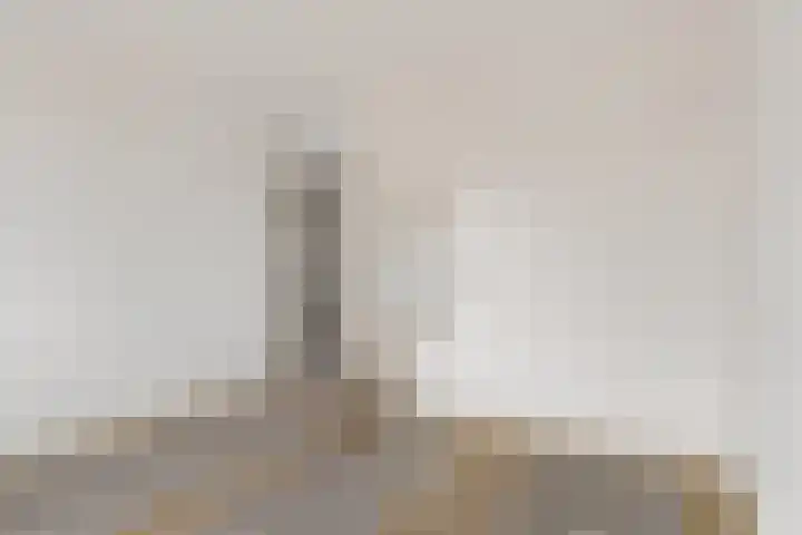 Het Zwanevlot 195 Zutphen thumbnail 13