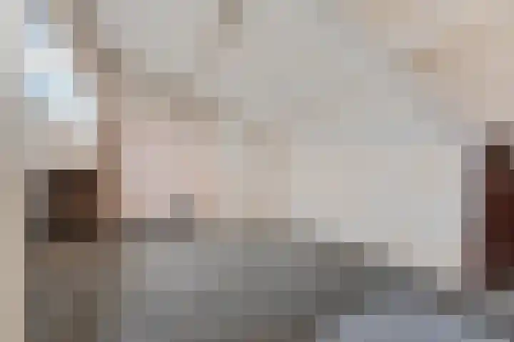 Het Zwanevlot 195 Zutphen thumbnail 19