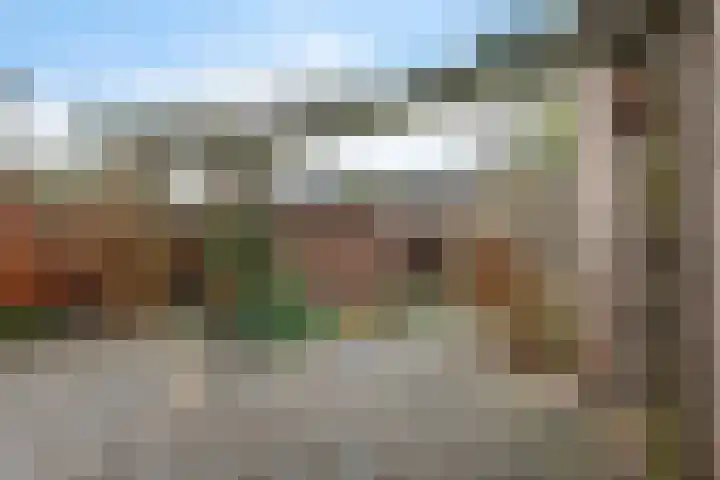 Het Zwanevlot 195 Zutphen thumbnail 21