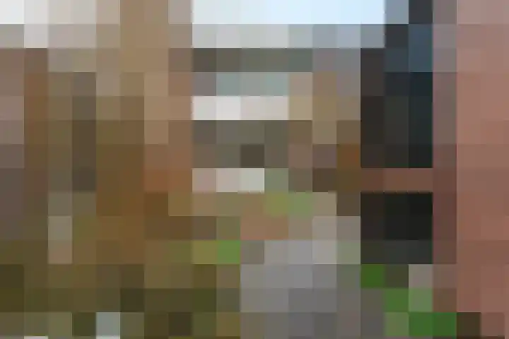 Het Zwanevlot 195 Zutphen thumbnail 22